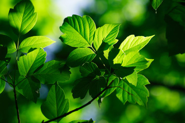 Similar image 6301662