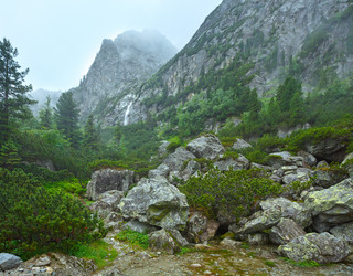 Similar image 6301666