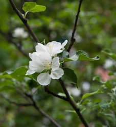 Similar image 6301846