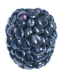 Similar image 6301909