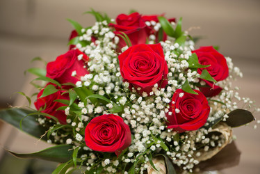 Similar image 6302019