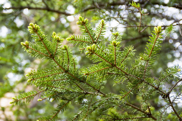 Similar image 6302110