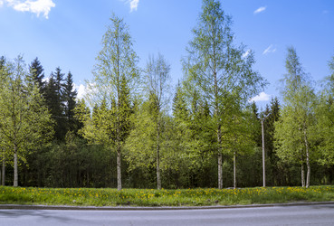 Similar image 6302111