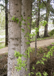 Similar image 6302130