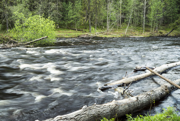 Similar image 6302131