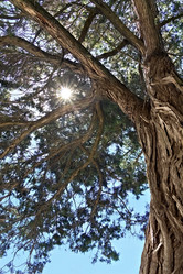 Similar image 6302150