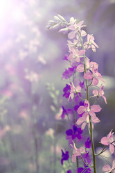 Similar image 6302151