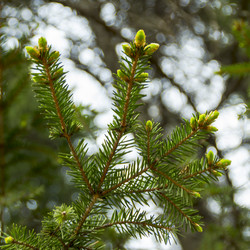 Similar image 6302205