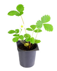 Similar image 6302371