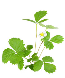 Similar image 6302372