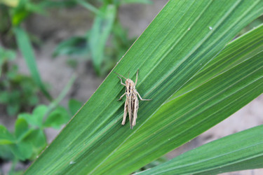 Similar image 6302416