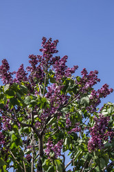 Similar image 6302434