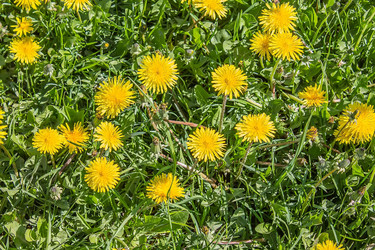 Similar image 6302436