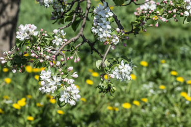 Similar image 6302440