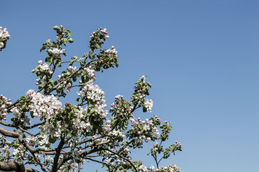 Similar image 6302441