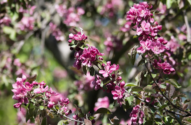 Similar image 6302444