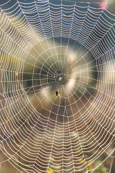 Similar image 6302482