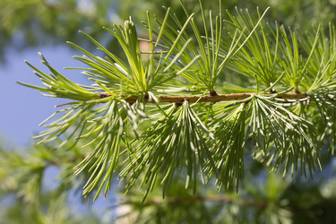 Similar image 6302533