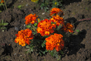 Similar image 6302536