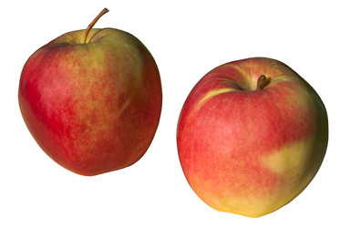 Similar image 6302538