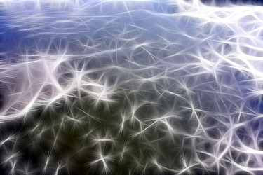 Similar image 6302824