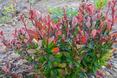 Similar image 6302976