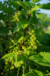 Similar image 6302977