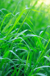 Similar image 6302989