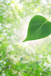 Similar image 6302990