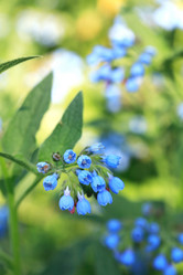 Similar image 6302991