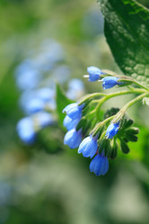 Similar image 6302992