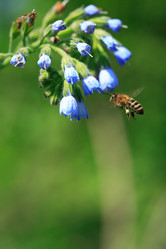 Similar image 6302993