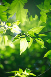 Similar image 6302996