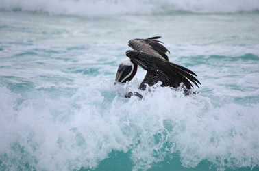 Similar image 6303007