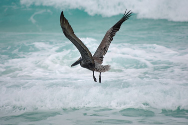 Similar image 6303009