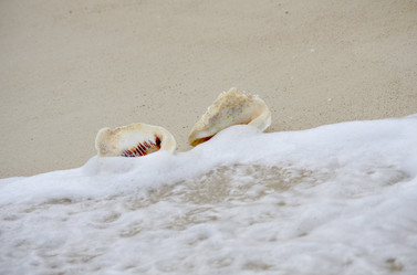 Similar image 6303013