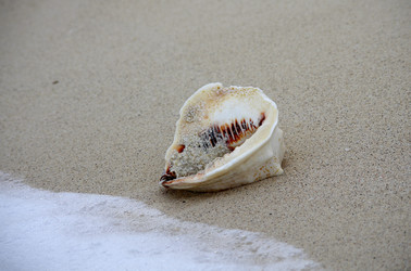 Similar image 6303014