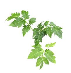 Similar image 6303097