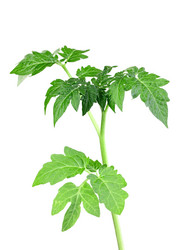 Similar image 6303099