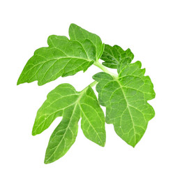 Similar image 6303100