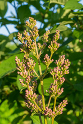 Similar image 6303121