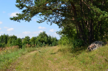 Similar image 6303122