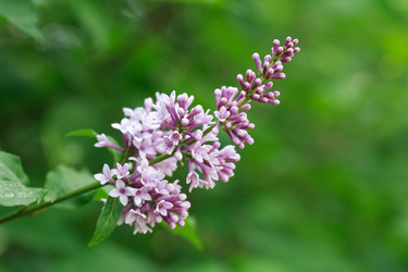 Similar image 6303156