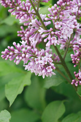 Similar image 6303157