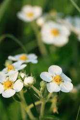 Similar image 6303169