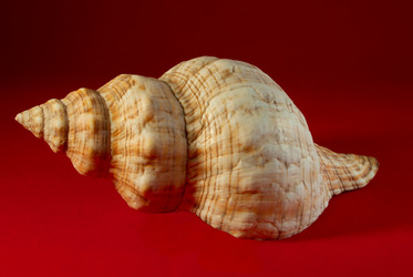 Similar image 6303212