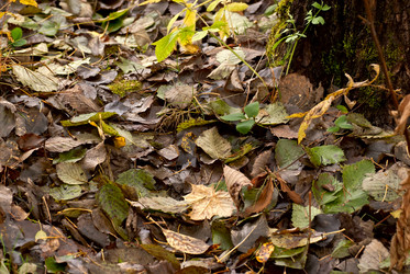 Similar image 6303224