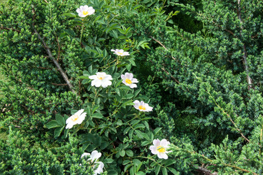 Similar image 6303234