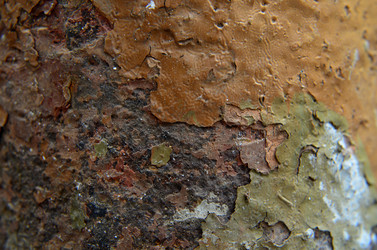 Similar image 6303251