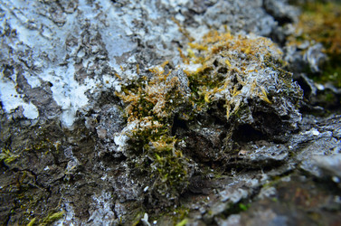 Similar image 6303252